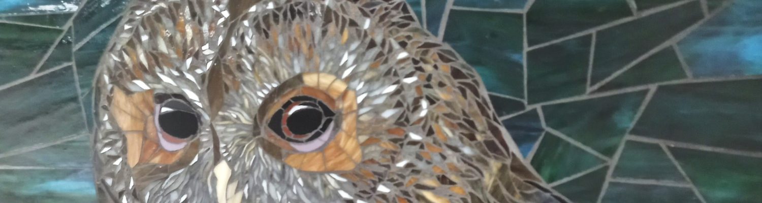 Owl Header