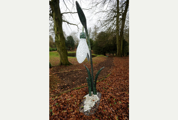 Snowdrop at Painswick
