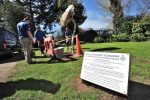 Poppy sculpture being installed in Cripplegate Park - designed by Living Mosaics